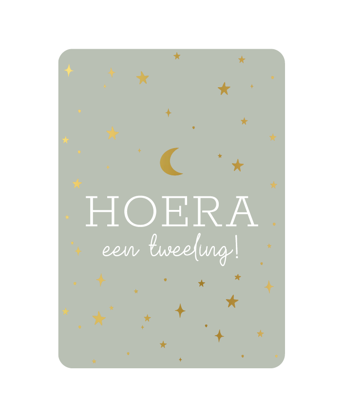 Wenskaart Hoera een tweeling