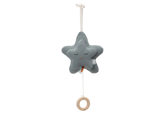 Jollein Muziekhanger Star - sea green