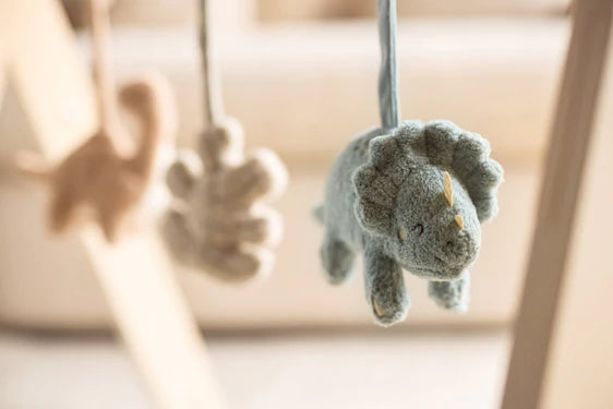 Babygym speeltjes Jollein (dinosaurussen)