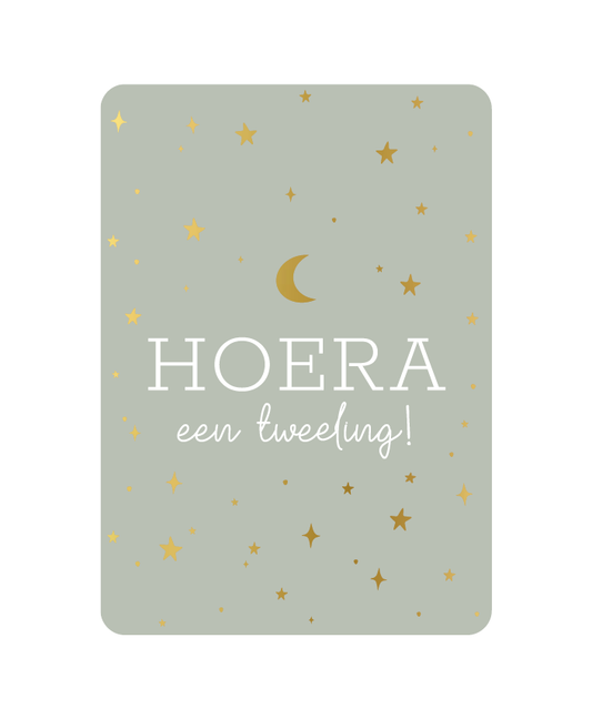 Wenskaart Hoera een tweeling