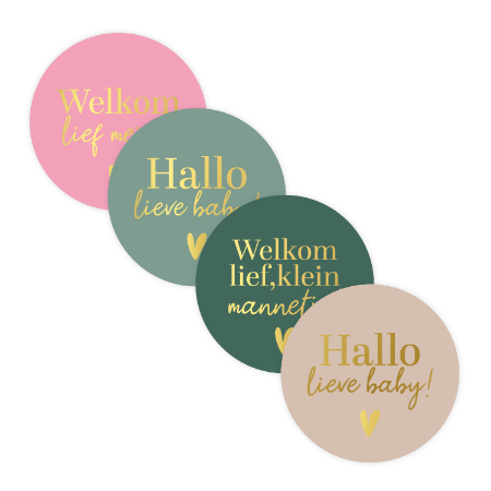 Stickers Welkom baby stickermix (12 stuks)
