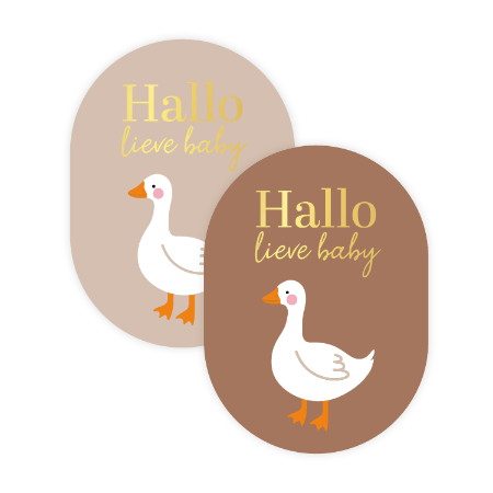 Stickers Hallo lieve baby (gans) - 5 stuks