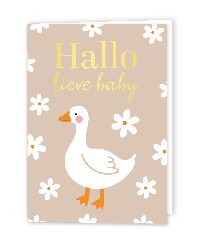Wenskaart Hallo lieve baby