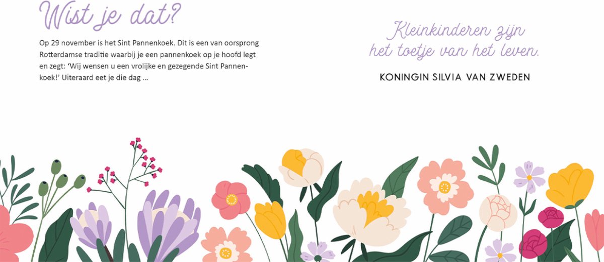 Oma voor beginners