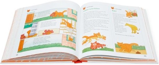 Elke dag Dikkie Dik
