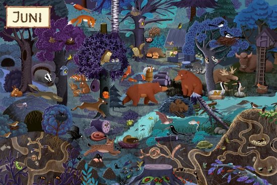 Twaalf maanden in het bos